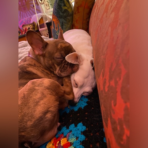 Meet your Posher, Kristy - Picture 5 of 6